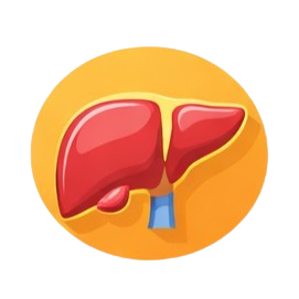 MCU medical checkup kediri tes fungsi hati