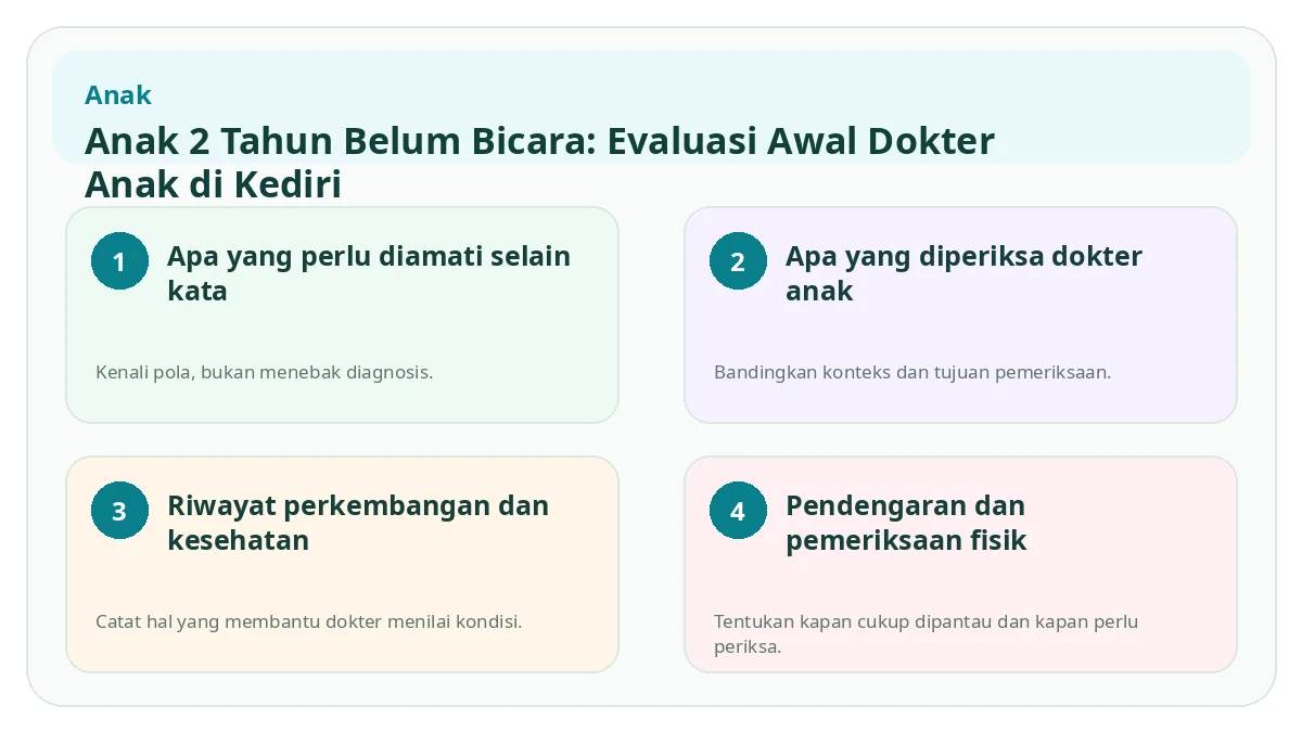 Ringkasan visual Anak 2 Tahun Belum Bicara: Evaluasi Awal Dokter Anak di Kediri